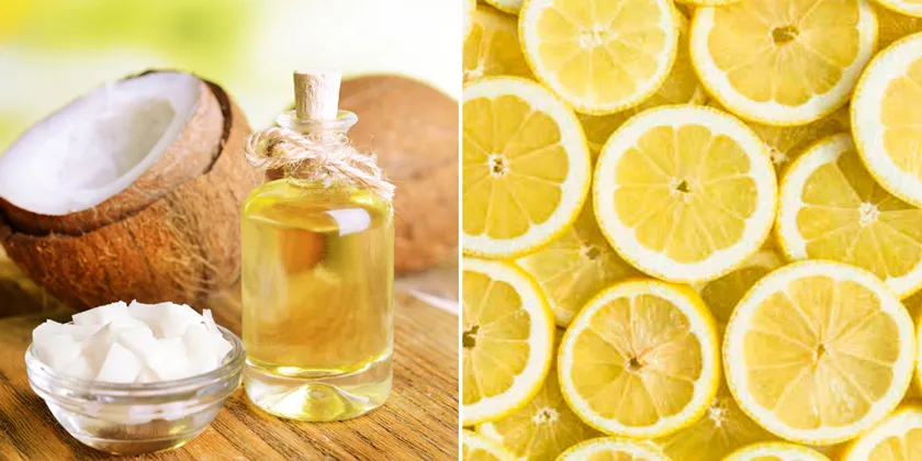 Hình ảnh một người phụ nữ đang thoa hỗn hợp nước cốt dừa và chanh lên mái tóc