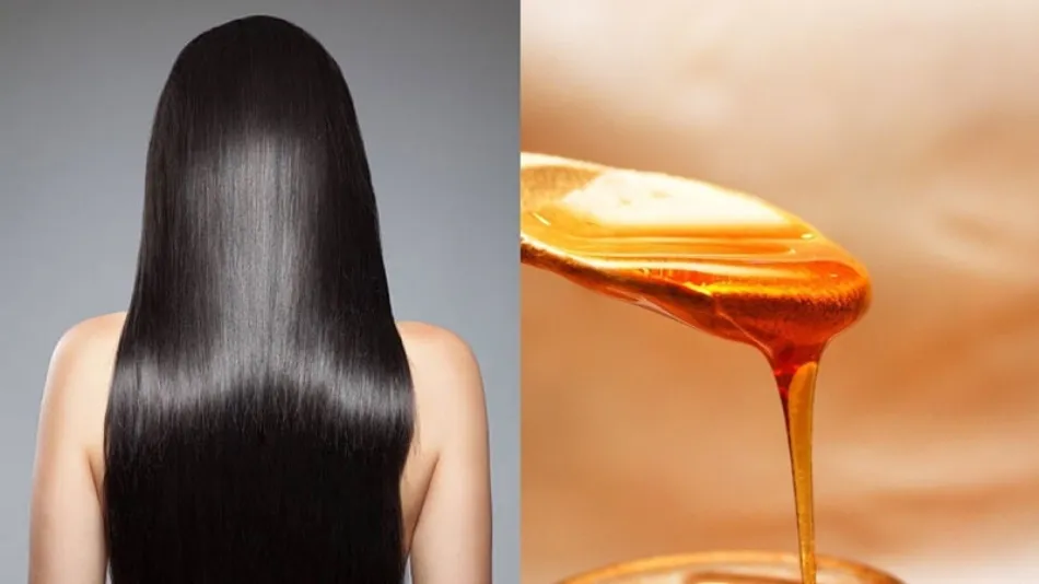 Dầu ô liu và mật ong là liệu pháp dưỡng ẩm tóc chuyên sâu