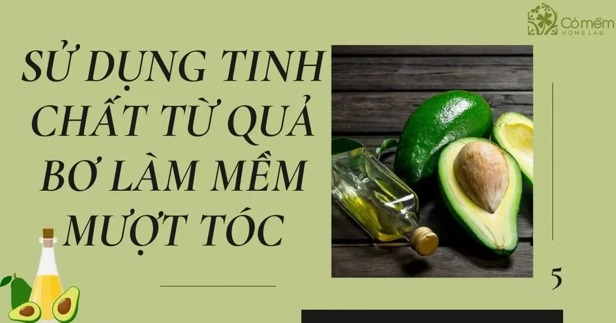 Cách làm tóc mềm cho nam từ tinh chất của quả bơ