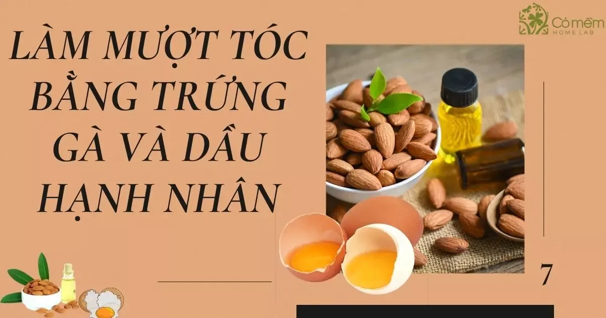 Cách làm cho tóc mềm mượt nam bằng trứng gà và dầu hạnh nhân