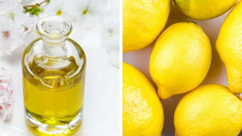 Ủ tóc bằng dầu dừa và chanh tươi