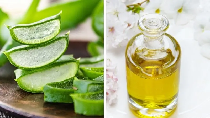 Ủ tóc bằng nha đam tươi, dầu dừa