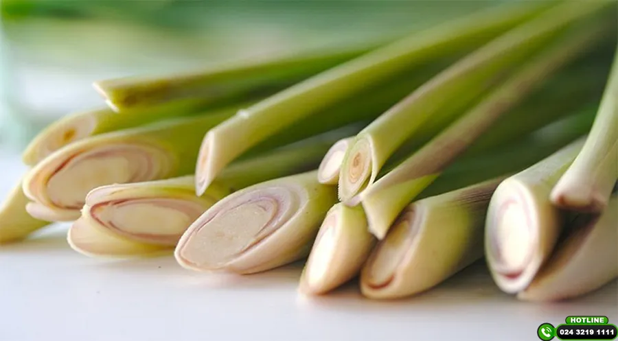 Cách làm cho tóc nhanh dài và ít rụng bằng sả