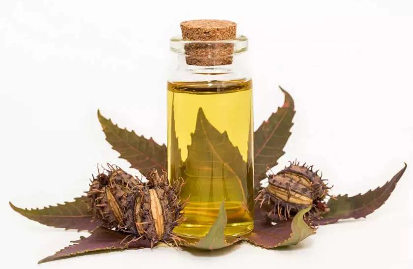 Dầu dừa và thầu dầu là giải pháp khóa ẩm và làm mềm tóc hiệu quả