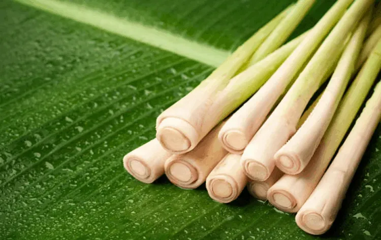 Các bước chuẩn bị và nấu nước vỏ bưởi cùng các loại thảo mộc khác