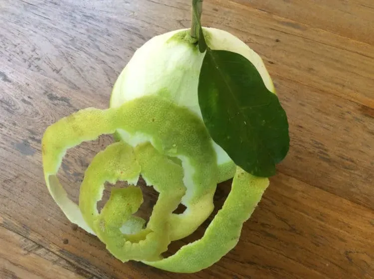 Lưu ý nhỏ nhưng quan trọng là phải gội đầu bằng nước nguội để tránh làm rụng tóc