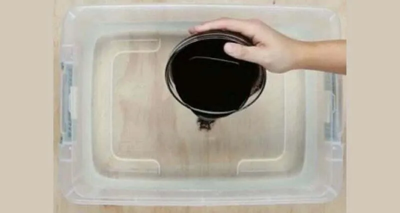 Pha thuốc nhuộm trong nước nóng và thêm chất định màu