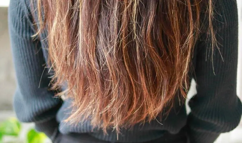 Cận cảnh ngọn tóc bị chẻ làm nhiều nhánh, biểu hiện của tóc cháy nặng