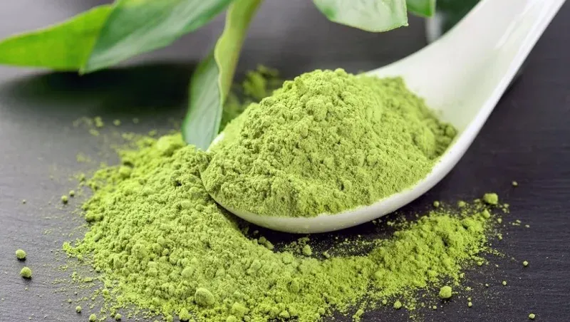 Pha hỗn hợp bột trà xanh để thực hiện cách rửa thuốc nhuộm tóc dính trên da an toàn