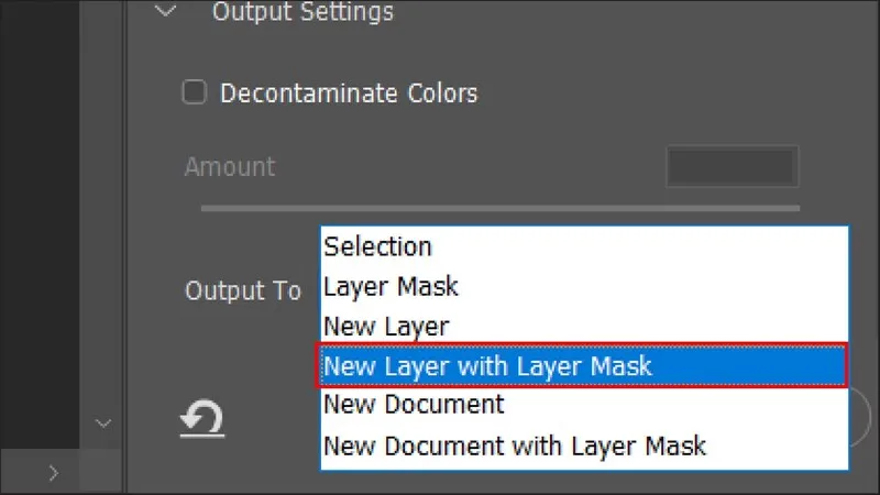 Cài đặt Output to New Layer with Layer Mask trong Select and Mask