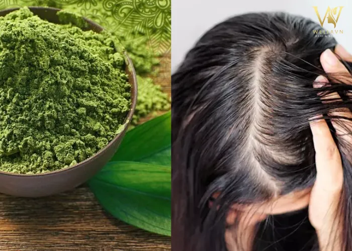 Bột trà xanh (Matcha) dùng để trị mồ hôi dầu trên tóc