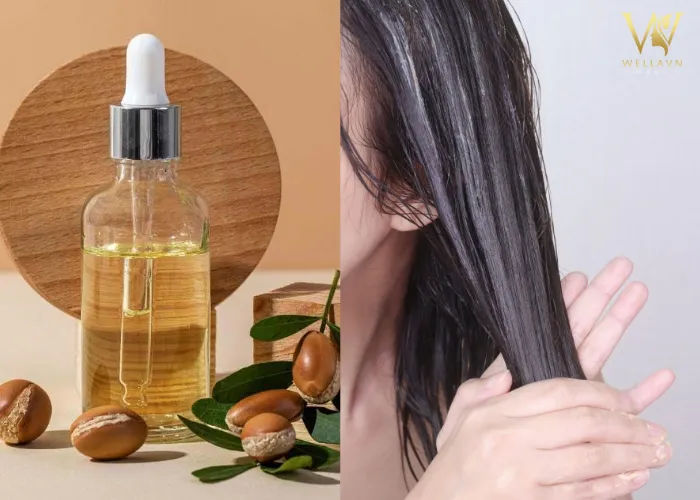 Cách trị mồ hôi dầu trên tóc với dầu Argan
