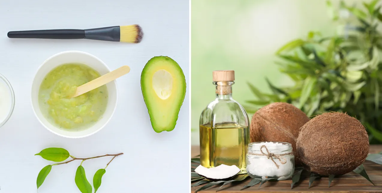 Sự kết hợp hoàn hảo giữa bơ và dầu dừa trong cách ủ tóc bằng bơ