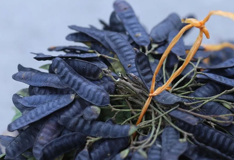 Gội đầu bằng nước bồ kết giúp tóc óng mượt