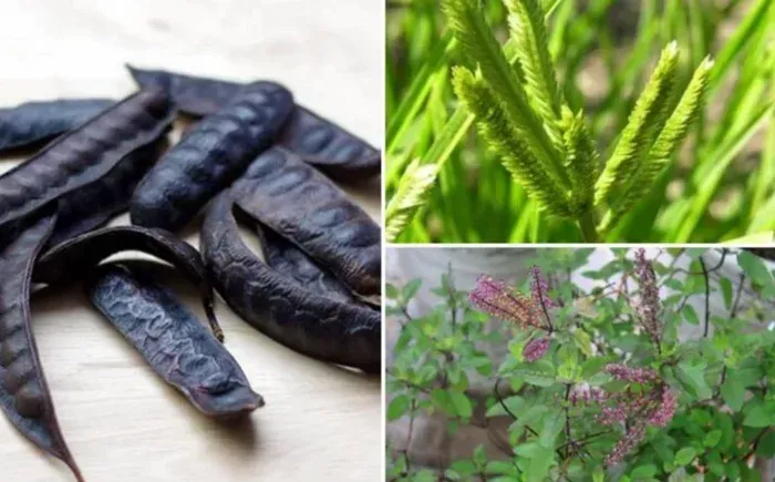 Cach Goi Dau Bang Bo Ket Khong Bi Bet Toc Cung Co Man Trau Huong Nhu