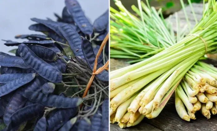 Cach Goi Dau Bang Bo Ket Khong Bi Bet Toc Voi Sa