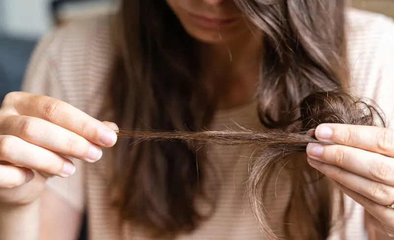 Cấu trúc sợi tóc và các yếu tố ảnh hưởng đến độ cứng cáp