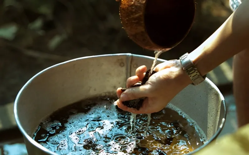 Sử dụng dầu gội thảo dược thiên nhiên chiết xuất từ bồ kết và sả để nuôi dưỡng tóc sau điều trị