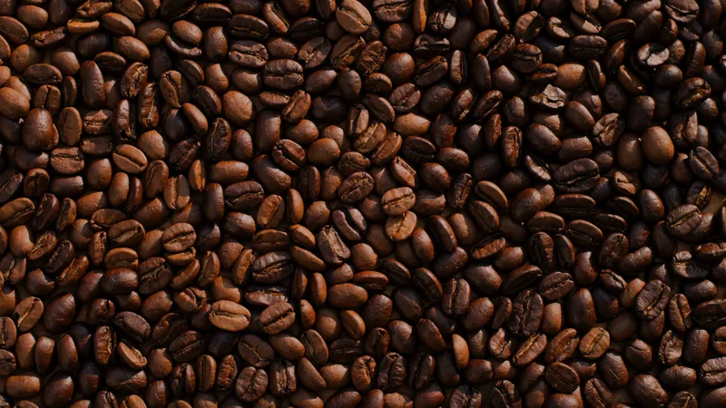 Bã cà phê chứa nhiều caffeine và chất chống oxy hóa, mang lại nhiều lợi ích cho tóc và da đầu khi sử dụng để ủ