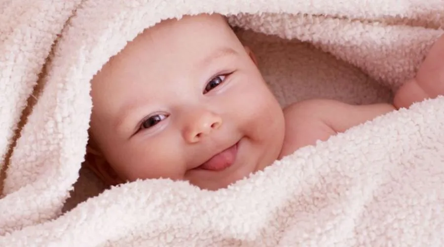 Mô tả cụ thể nội dung hình bằng tiếng Việt, tối đa 125 ký tự