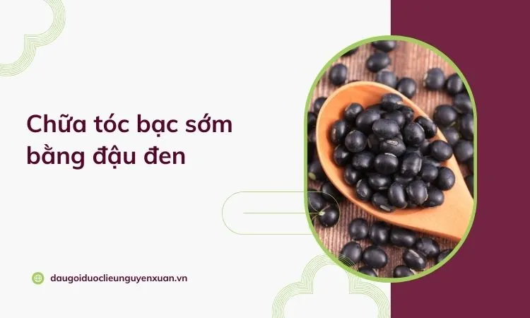 Phụ nữ đang massage da đầu bằng hỗn hợp đậu đen để trị tóc bạc sớm