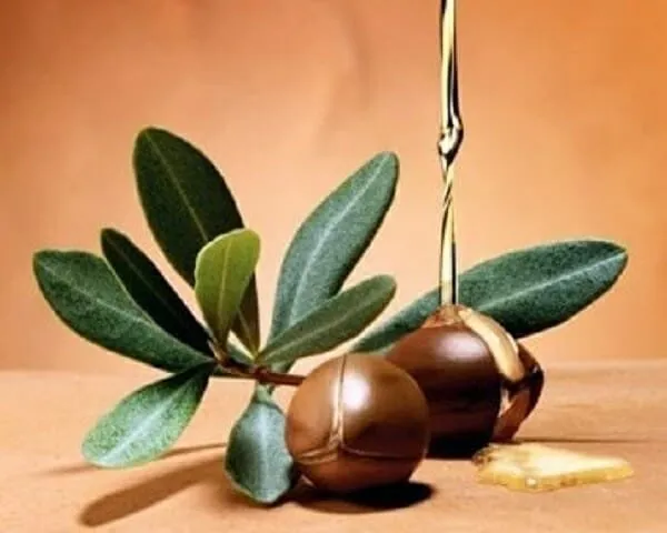 Dầu argan là tinh chất quý giá, có nhiều công dụng làm đẹp cho mái tóc