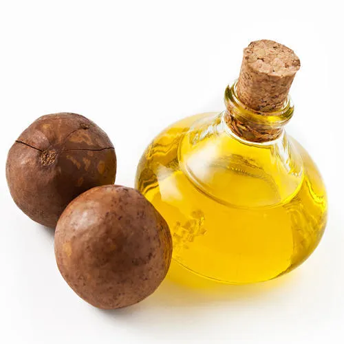 Dầu dưỡng tóc có thành phần từ Macadamia phù hợp với tóc hư tổn do giàu axit béo phục hồi