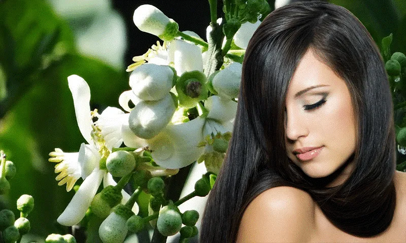 Cách sử dụng dầu gội đen tóc đúng chuẩn sẽ cho mái tóc đen óng mượt