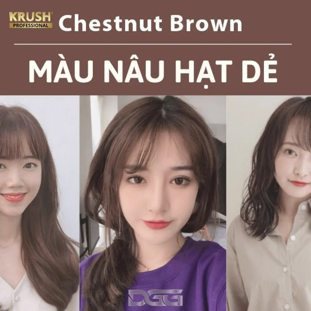 Dầu gội nhuộm tóc phủ bạc màu nâu hạt dẻ tự nhiên