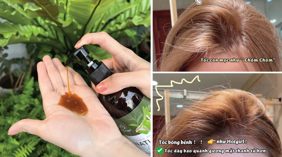 Dầu gội thảo mộc hỗ trợ cách giảm tóc bạc và nuôi dưỡng sợi tóc chắc khỏe
