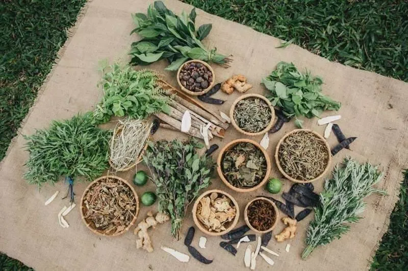 Dầu gội đen tóc từ chiết xuất tự nhiên