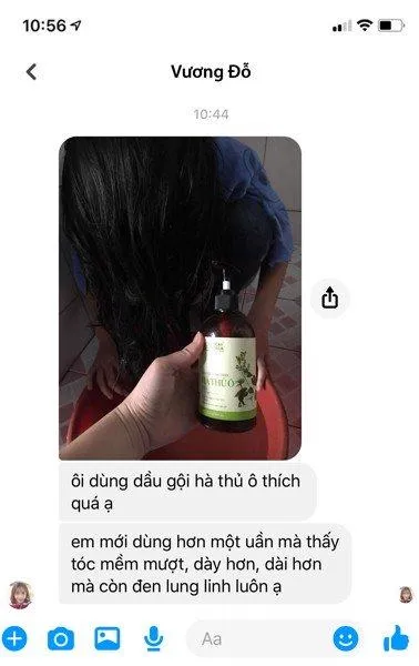 Khế chua và cách chữa tóc bạc sớm bằng khế chua