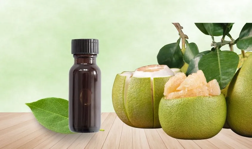 Thực hiện cách dùng tinh dầu bưởi kích mọc tóc giúp chân tóc chắc khỏe