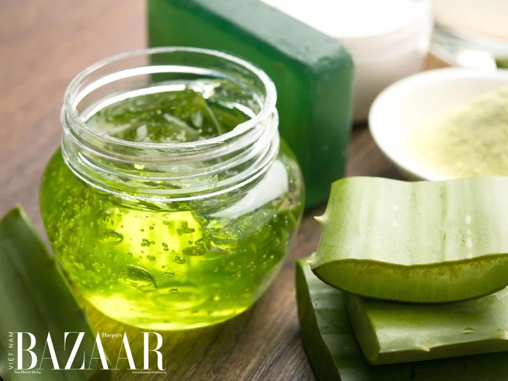 Gel lô hội (nha đam), một thành phần tự nhiên quan trọng trong việc tìm cách làm mượt tóc cho nam