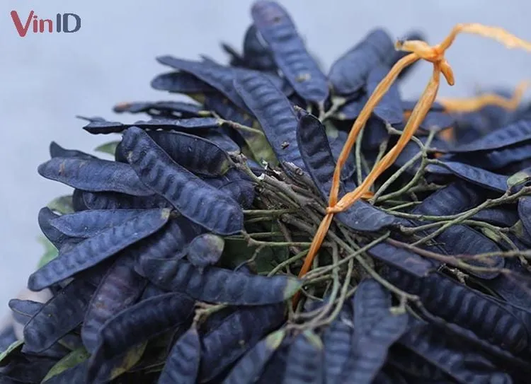 Gội Đầu Bằng Bồ Kết Và Bia Hạn Chế Rụng Tóc