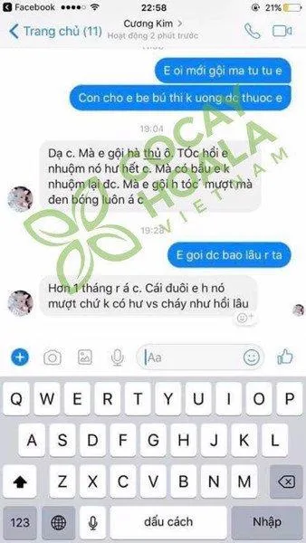 Khế chua và cách chữa tóc bạc sớm bằng khế chua