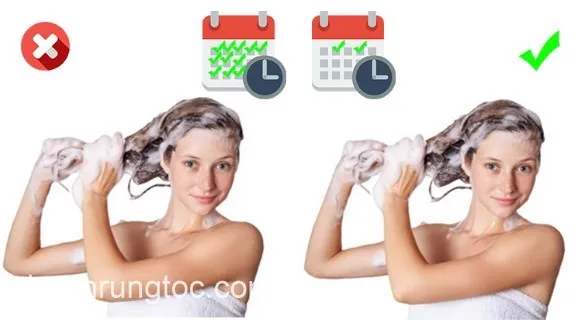 Hình ảnh minh họa chỉ nên gội đầu 2 đến 3 lần một tuần để giữ lại lớp dầu tự nhiên cho tóc