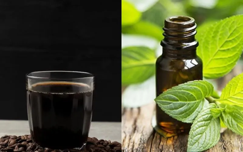 Nhỏ vài giọt tinh dầu bạc hà vào nước cà phê và thoa lên tóc sẽ giúp tóc không còn bị chẻ ngọn hay xơ, rối