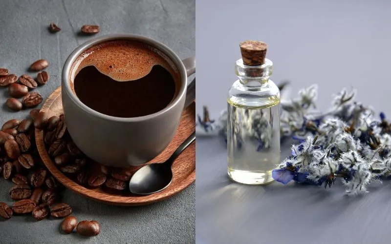 Bí quyết để tóc giảm gãy rụng, ngăn hói đầu là gội bằng nước cà phê cùng tinh dầu lavender