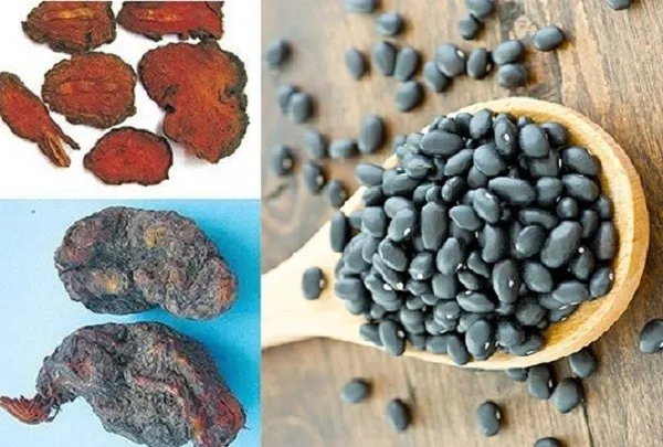 Hà Thủ Ô chế biến cùng đậu đen giúp cải thiện chứng tóc bạc sớm hiệu quả