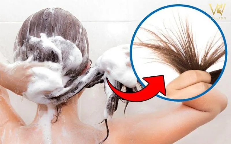 Hình ảnh khuyên nên hạn chế gội đầu quá thường xuyên để bảo vệ nếp uốn và tránh làm khô tóc