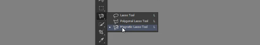 Giao diện Photoshop với công cụ Magnetic Lasso được chọn trên thanh công cụ