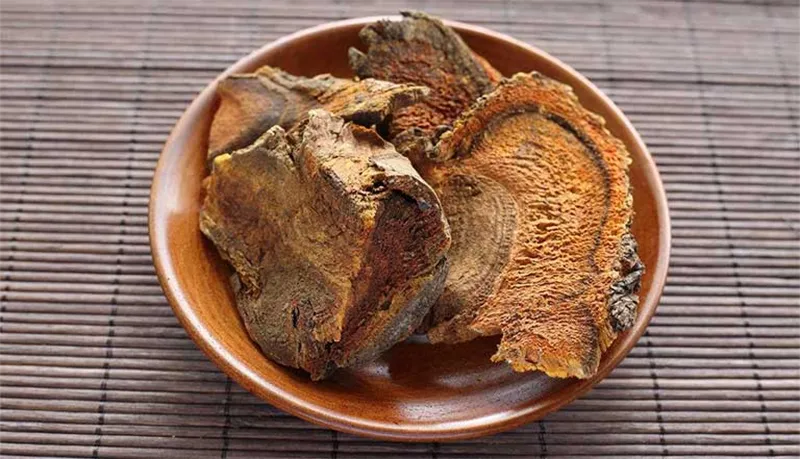 Làm vàng tóc bằng rễ cây Đại Hoàng