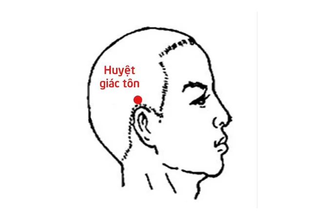 Hình ảnh minh họa vị trí Huyệt Giác Tôn, quan trọng trong kỹ thuật hướng dẫn cách bấm tóc cho vùng thái dương