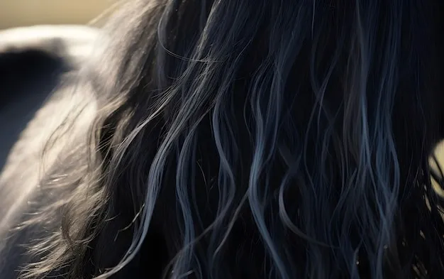 Kiểu tóc uốn lơi bồng bềnh sau khi áp dụng cách giữ nếp tóc uốn lơi