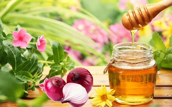 Nước Ép Hành Tây Và Mật Ong Kích Thích Mọc Tóc Nhanh Chóng