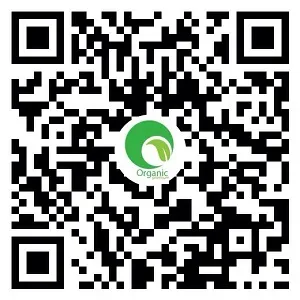 Nguyên liệu làm ẩm tóc tại nhà như Glycerin và chiết xuất tự nhiên