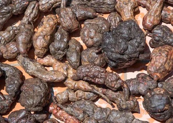 Nắm chắc 8 cách chữa rụng tóc hói đầu đơn giản ngay tại nhà