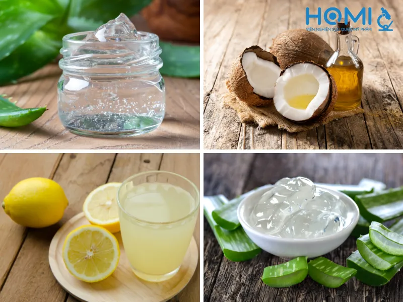 Các nguyên liệu chính để làm dầu xả tóc từ nha đam: gel nha đam, dầu dừa, mật ong, dầu olive