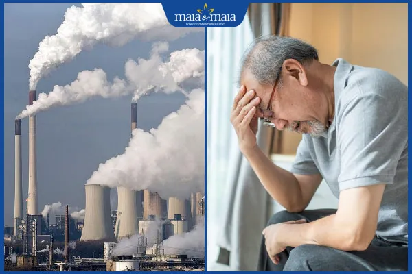 Minoxidil và Finasteride là giải pháp y tế hiệu quả cho vấn đề tóc mỏng và thưa